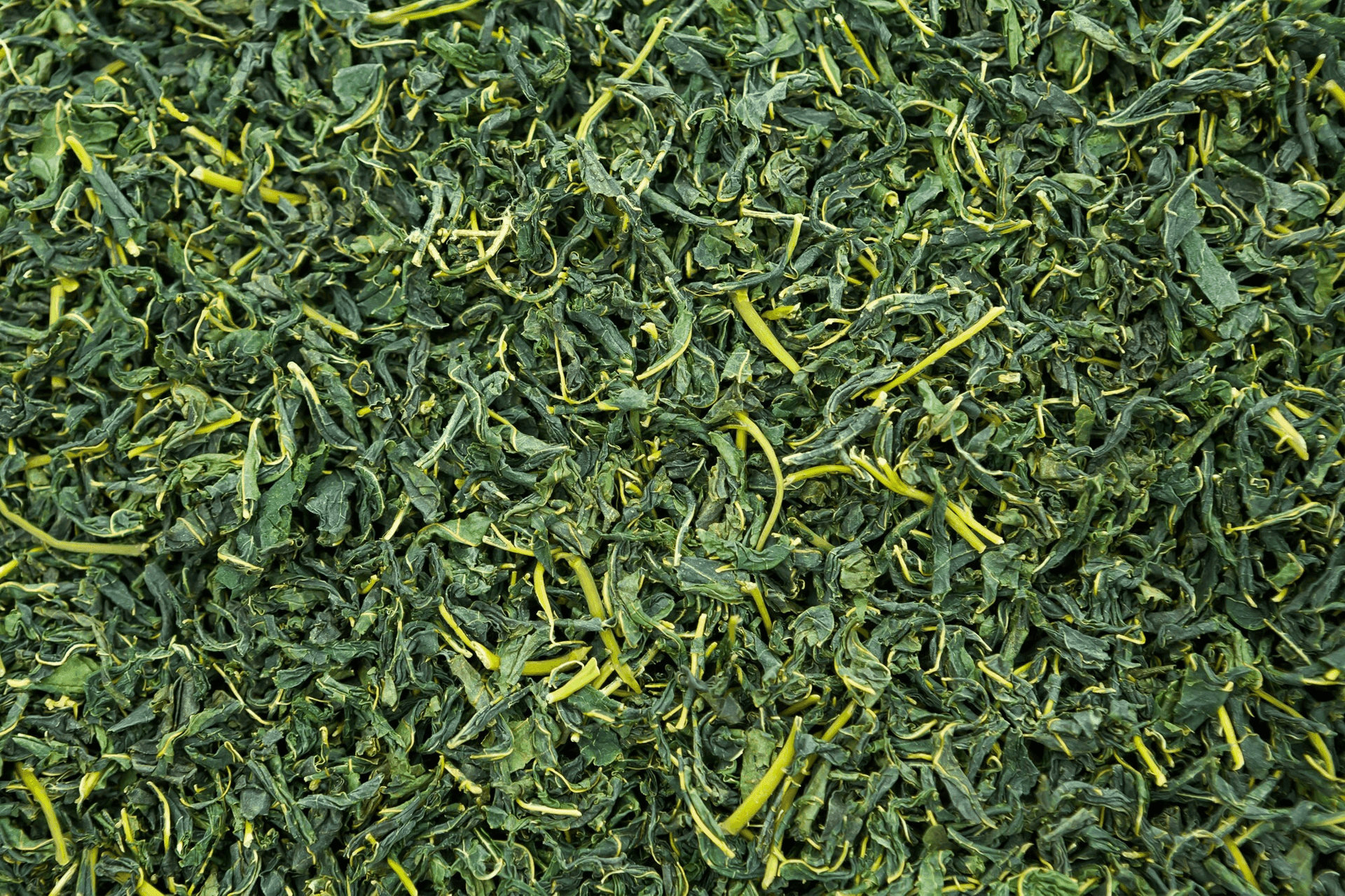 Thés verts - Légers et vivifiants - green